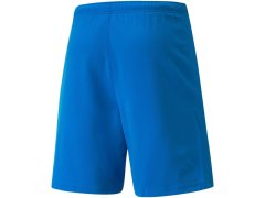 Pánské kraťasy teamRISE Short M 704942 02 - Puma 3