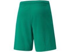 Pánské kraťasy teamRISE Short M 704942 05 - Puma 3