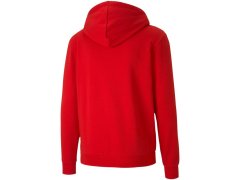 Pánské tričko teamGoal 23 Casuals Hooded M 656708 01 - Puma 5