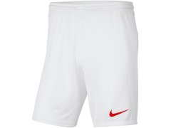 Dětské šortky Y Park III Jr BV6865 103 - Nike 2