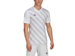 Pánský dres Entrada 22 Graphic Jersey M HF0129 - Adidas 7