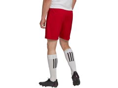 Pánské šortky Entrada 22 M H61735 - Adidas 7