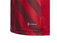 Dětský dres Entrada 22 Graphic Jersey Jr H58983 - Adidas 6