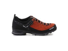 Pánské boty Salewa MS MTN Trainer 2 GTX M 61356-7519 2
