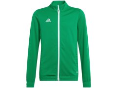 Entrada 22 Jr dětská mikina HI2138 - Adidas 7