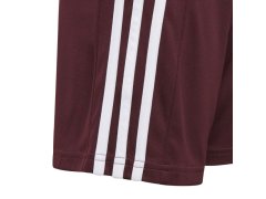 Squadra 21 Short Jr GN8081 - Adidas 5