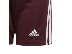 Squadra 21 Short Jr GN8081 - Adidas 8