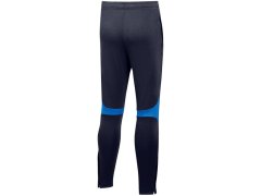 Dětské kalhoty Academy Pro Youth Jr DH9325 451 - Nike 3