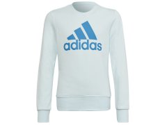 Dětská mikina Big Logo Swt Jr HM8707 - Adidas 5