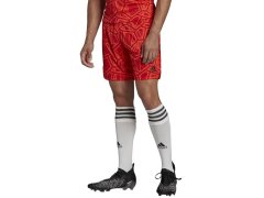 Brankářské šortky adidas Condivo 22 M H18814 7