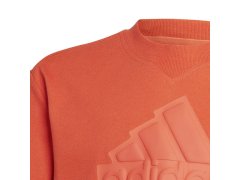 Dětské tričko FI Logo Jr HR6296 - Adidas 5