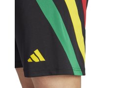 Šortky adidas Fortore 23 M IK5736 8
