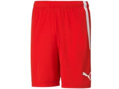 Šortky Puma teamLIGA M 704924 01 2