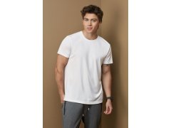 Stedman Sports-T Men Pánské sportovní tričko Interlock 05.8000 bright royal 3