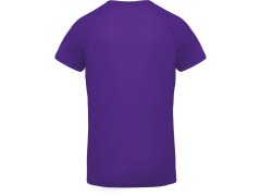 Kariban ProAct PA 476 Pánské sportovní tričko s&nbsp;výstřihem do V 20.P476 violet 2
