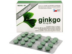 Woykoff Ginkgo Comfort 60 mg SR 60 tbl.