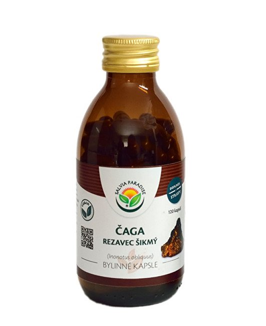 Salvia Paradise Čaga - Rezavec šikmý kapsle 120 ks - Přípravky medicinální houby