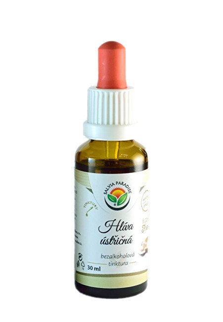 Salvia Paradise Hlíva ústřičná AF tinktura 30 ml - Přípravky medicinální houby
