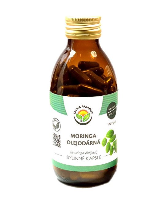 Salvia Paradise Moringa olejodárná kapsle 60 ks - Přípravky ajurvédská medicína